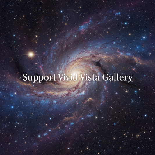 Support Vivid Vista Gallery Donation
